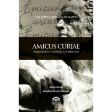 Amicus curiae: hermenêutica e jurisdição constitucional