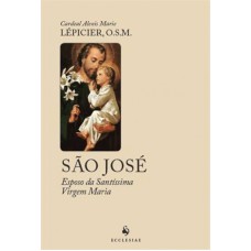 SÃO JOSE - ESPOSO DA SANTÍSSIMA VIRGEM MARIA