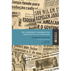 UM CALDEIRÃO CHAMADO 1964 - DEPOIMENTO DE UM REVOLUCIONÁRIO