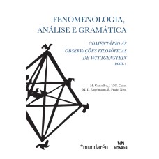 FENOMENOLOGIA, ANÁLISE E GRAMÁTICA - COMENTÁRIO ÀS OBSERVAÇÕES FILOSÓFICAS DE WITTGENSTEIN