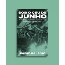 SOB O CÉU DE JUNHO: AS MANIFESTAÇÕES DE 2013 À LUZ DO MATERIALISMO CULTURAL