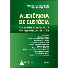 AUDIENCIA DE CUSTODIA