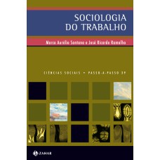 SOCIOLOGIA DO TRABALHO - NO MUNDO CONTEMPORÂNEO