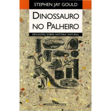 DINOSSAURO NO PALHEIRO