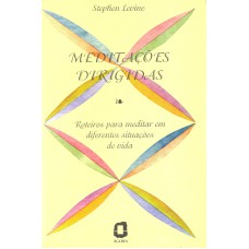 MEDITAÇÕES DIRIGIDAS: ROTEIROS PARA MEDITAR EM DIFERENTES SITUAÇÕES 