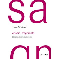 ENSAIO, FRAGMENTO: 205 APONTAMENTOS DE UM ANO