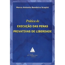 PRÁTICA DE EXECUÇÃO DAS PENAS PRIVATIVAS DE LIBERDADE