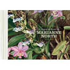 A VIAGEM AO BRASIL DE MARIANNE NORTH