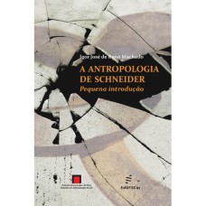 ANTROPOLOGIA DE SCHNEIDER