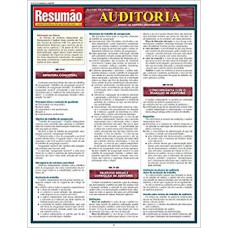 AUDITORIA - RESUMAO ADMINISTRACAO E NEGOCIOS 10