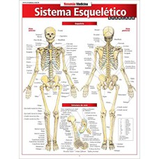 SISTEMA ESQUELETICO AVANCADO - 1