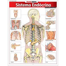 SISITEMA ENDOCRINO AVANCADO - 1