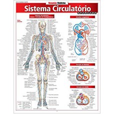 SISTEMA CIRCULATORIO AVANCADO - 1ª