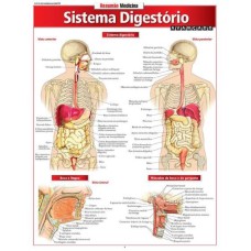 RESUMÃO MEDICINA - SISTEMA DIGESTÓRIO