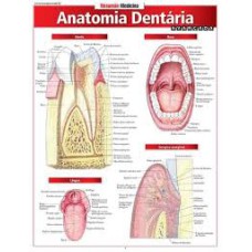 RESUMÃO MEDICINA - ANATOMIA DENTÁRIA