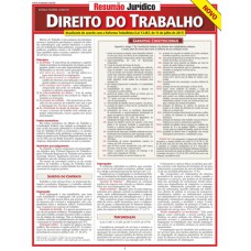 RESUMÃO JURÍDICO - NOVO DIREITO DO TRABALHO