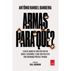 ARMAS PARA QUÊ?: O USO DE ARMAS DE FOGO POR CIVIS NO BRASIL E NO MUNDO, E O QUE ISSO TEM A VER COM A SUA SEGURANÇA