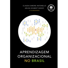 APRENDIZAGEM ORGANIZACIONAL NO BRASIL