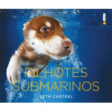 FILHOTES SUBMARINOS