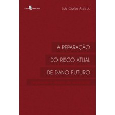 A reparação do risco atual de dano futuro: ampliando o objeto de reparação