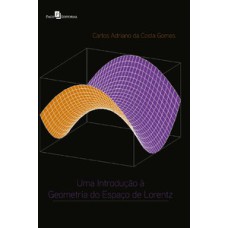 Uma introdução à geometria do espaço de Lorentz