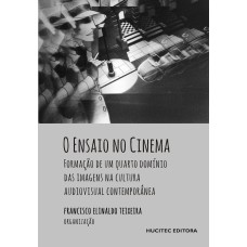 O ENSAIO NO CINEMA - FORMAÇÃO DE UM QUARTO DOMÍNIO DAS IMAGENS NA CULTURA AUDIOVISUAL CONTEMPORÂNEA