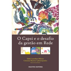 O CAPSI E O DESAFIO DA GESTÃO EM REDE