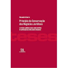 Princípio da conservação dos negócios jurídicos : A eficácia jurídico-social como critério de superação das invalidades negociais