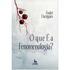 QUE E A FENOMENOLOGIA