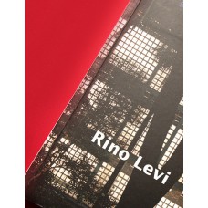 RINO LEVI: ARQUITETURA E CIDADE