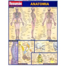 RESUMAO - ANATOMIA