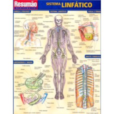 SISTEMA LINFATICO RESUMAO - 1