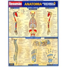 RESUMAO - ANATUMIA PROFUNDA E POSTERIOR