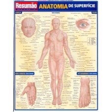 RESUMAO - ANATOMIA DE SUPERFICIE