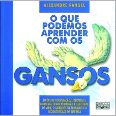 O QUE PODEMOS APRENDER COM OS GANSOS