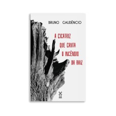 A CICATRIZ QUE CANTA O INCÊNDIO DA RAIZ