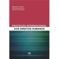 A PROTEÇÃO INTERNACIONAL DOS DIREITOS HUMANOS