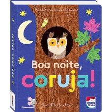 UM LIVRINHO COM ABAS: BOA NOITE, CORUJA!