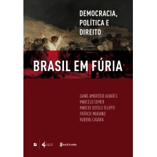 BRASIL EM FÚRIA - DEMOCRACIA, POLÍTICA E DIREITO