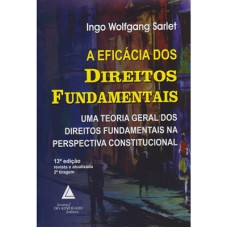 A EFICÁCIA DOS DIREITOS FUNDAMENTAIS