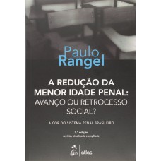 A REDUÇÃO DA MENOR IDADE PENAL: AVANÇO OU RETROCESSO SOCIAL? A COR DO SISTEMA PENAL BRASILEIRO