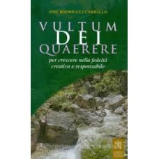 VULTUM DEI QUAERERE PER CRESCERE NELLA FEDELTA CREATIVA E RESPONSABILE