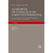 As medidas de coacção e de garantia patrimonial: uma análise prática à luz do regime introduzido pela lei nº 48/2007, de 29 de agosto