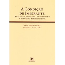 A condição de imigrante: uma análise de direito constitucional e de direito administrativo