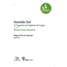 Sentido sul: a cegueira no espírito do lugar