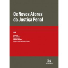 Os novos atores da justiça penal