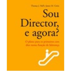 SOU DIRECTOR, E AGORA?