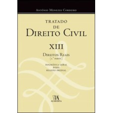 Tratado de direito civil: XIII - Direitos reais 1ª parte - Dogmática geral, posse e registo predial