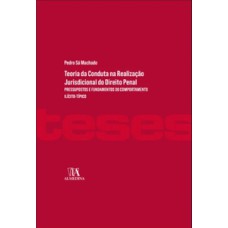 Teoria da conduta na realização jurisdicional do direito penal: pressupostos e fundamentos do comportamento ilícito-típico