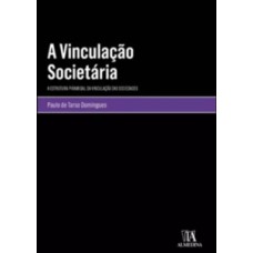 A vinculação societária: a estrutura piramidal da vinculação das sociedades